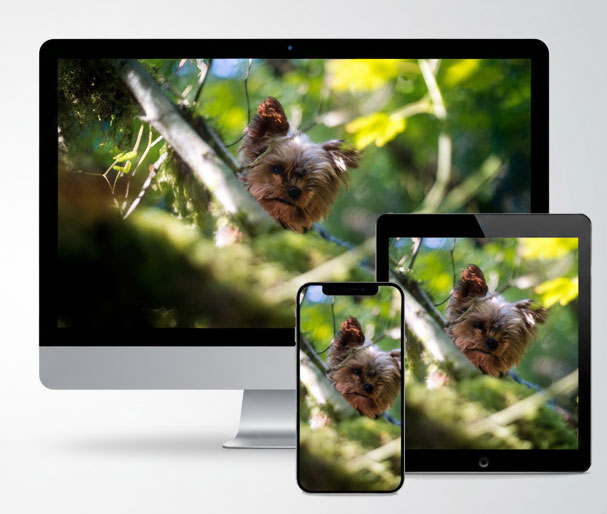 Subscribe to LilTuki® Newsletter for New Product Releases, Latest Stories and Adventures!